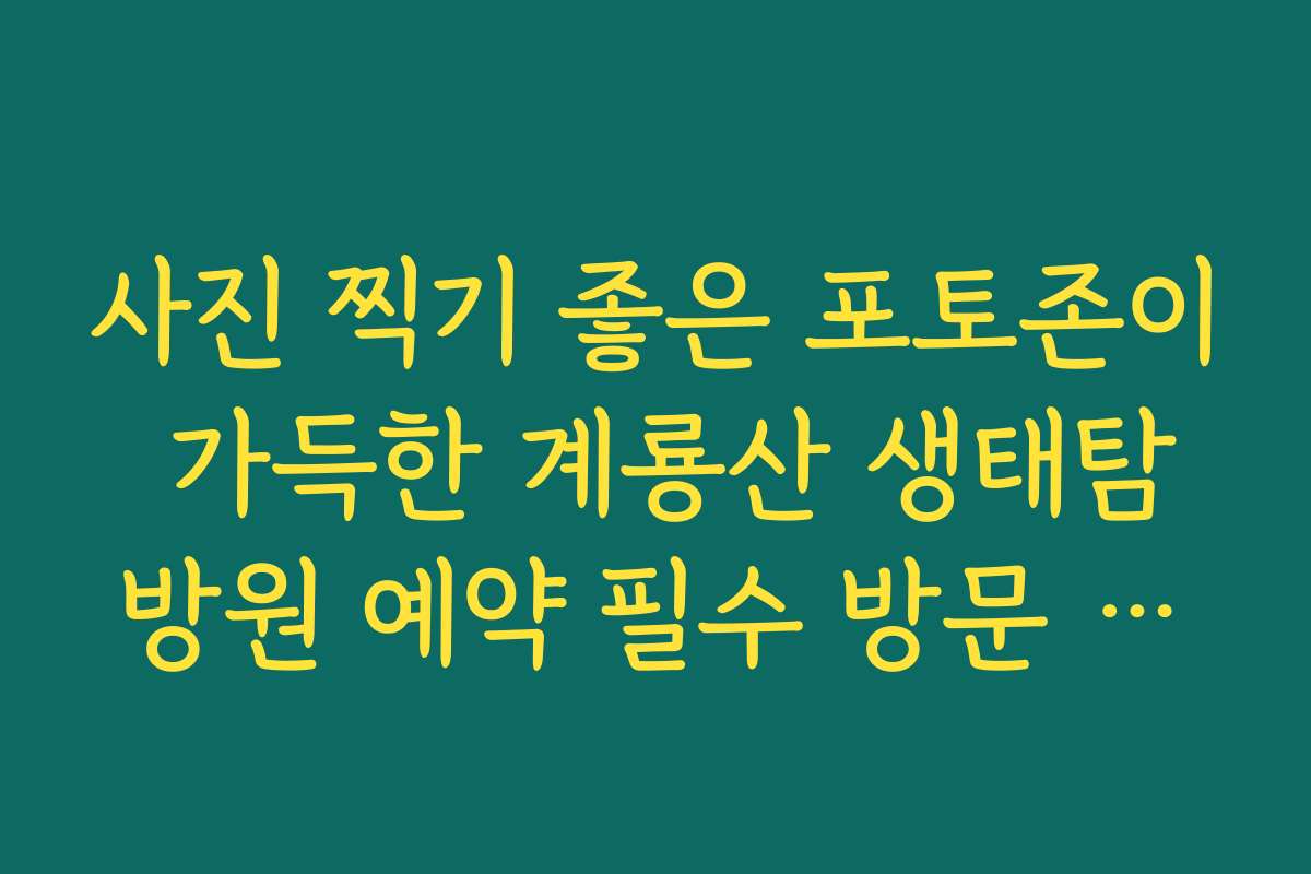 사진 찍기 좋은 포토존이 가득한 계룡산 생태탐방원 예약 필수 방문 리스트