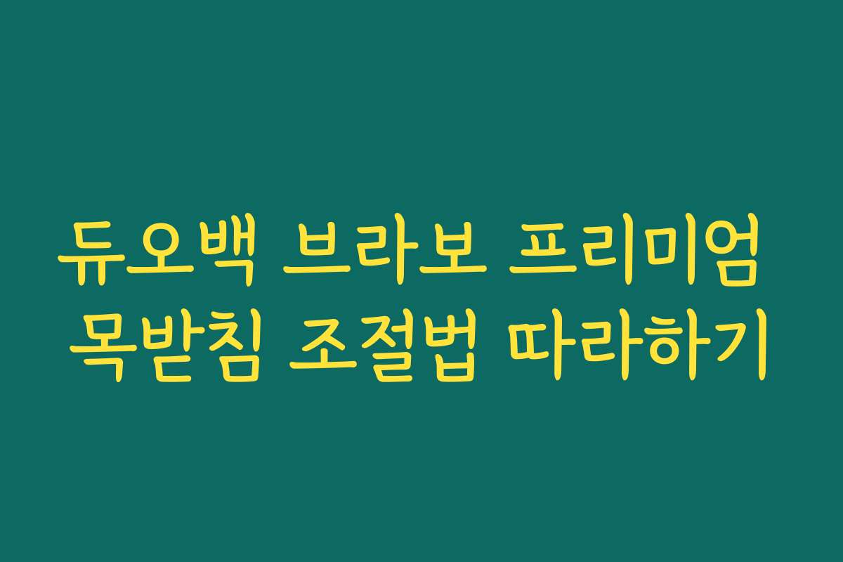 듀오백 브라보 프리미엄 목받침 조절법 따라하기