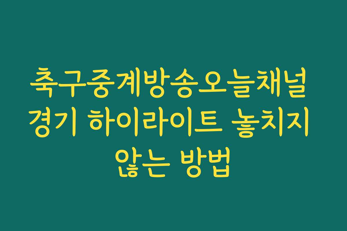 축구중계방송오늘채널 경기 하이라이트 놓치지 않는 방법