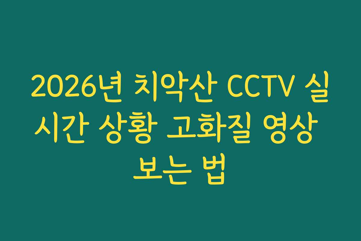 2026년 치악산 CCTV 실시간 상황 고화질 영상 보는 법