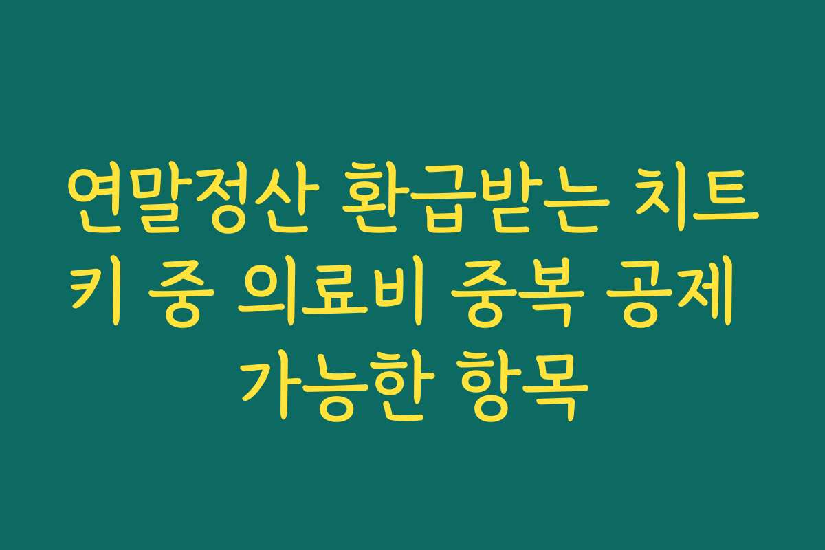 연말정산 환급받는 치트키 중 의료비 중복 공제 가능한 항목