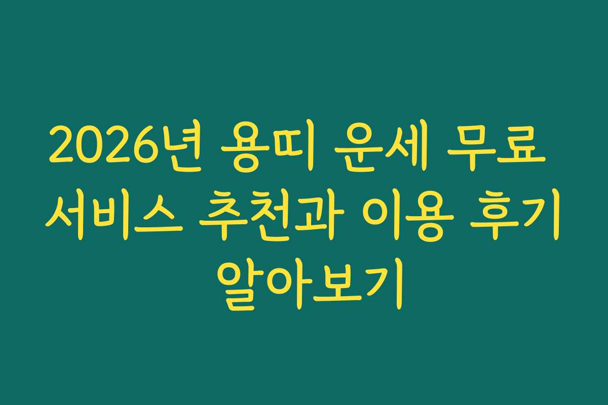 2026년 용띠 운세 무료 서비스 추천과 이용 후기 알아보기