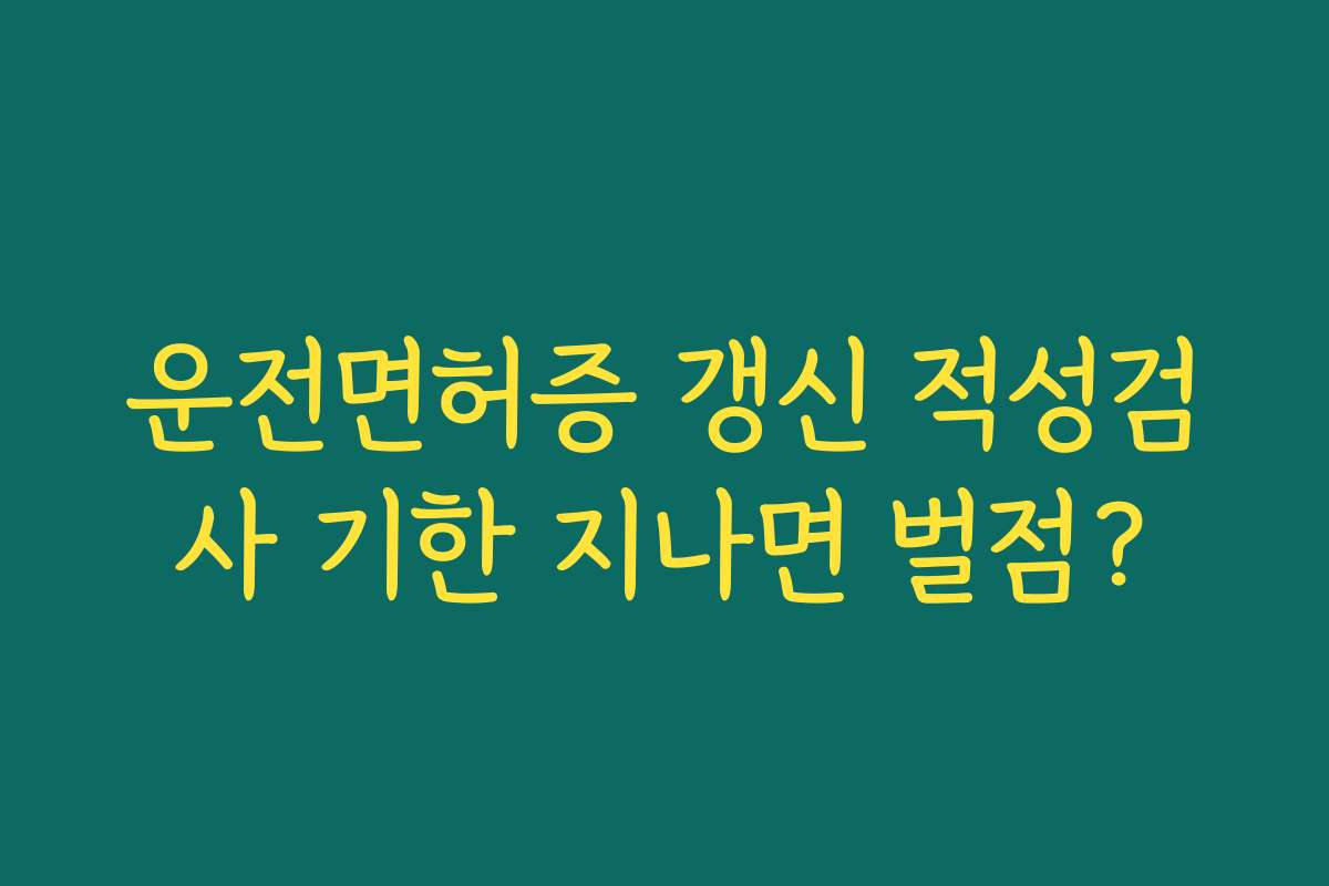 운전면허증 갱신 적성검사 기한 지나면 벌점?