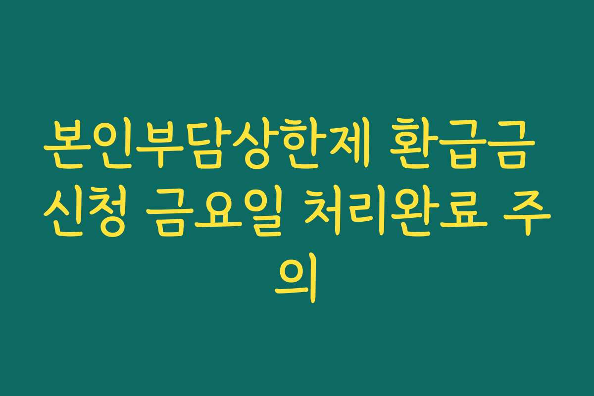 본인부담상한제 환급금 신청 금요일 처리완료 주의