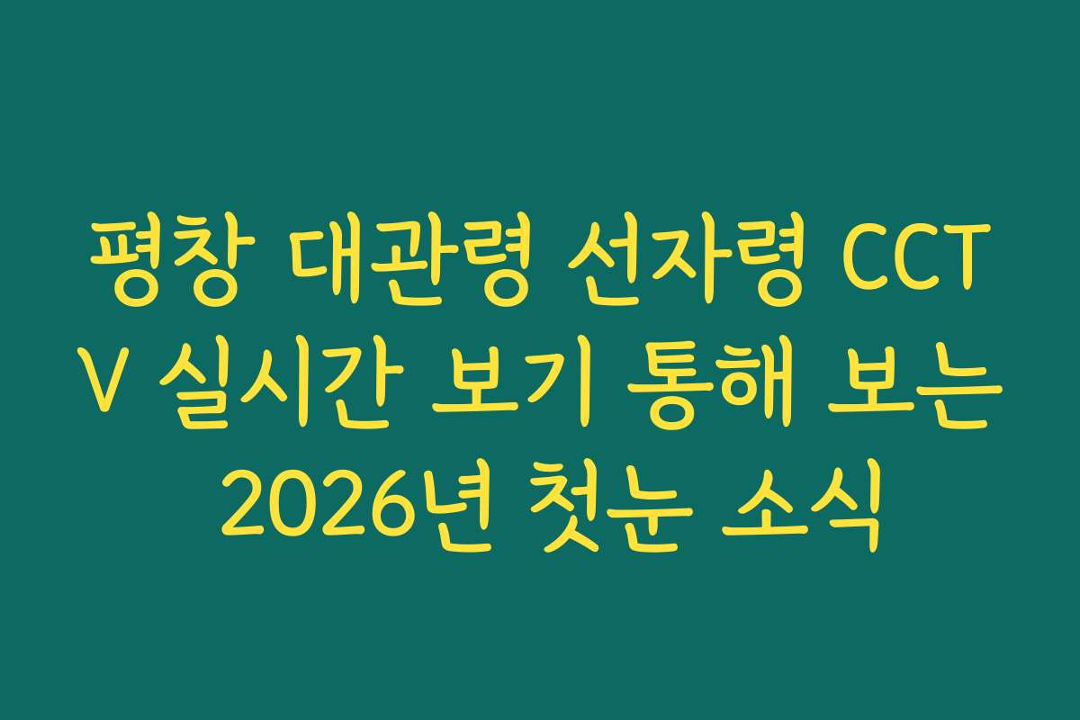 평창 대관령 선자령 CCTV 실시간 보기 통해 보는 2026년 첫눈 소식