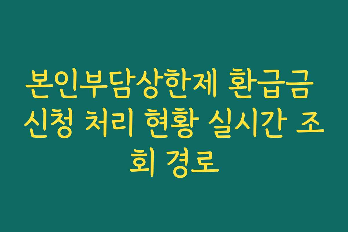 본인부담상한제 환급금 신청 처리 현황 실시간 조회 경로