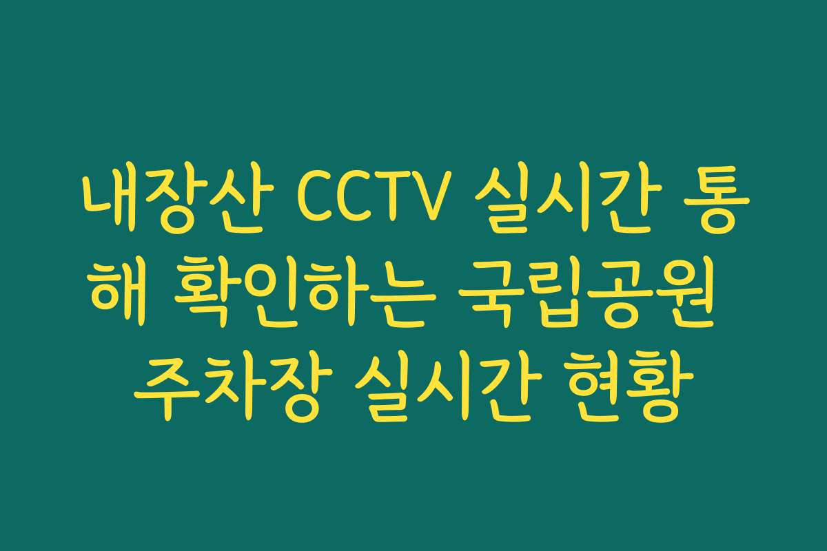 내장산 CCTV 실시간 통해 확인하는 국립공원 주차장 실시간 현황