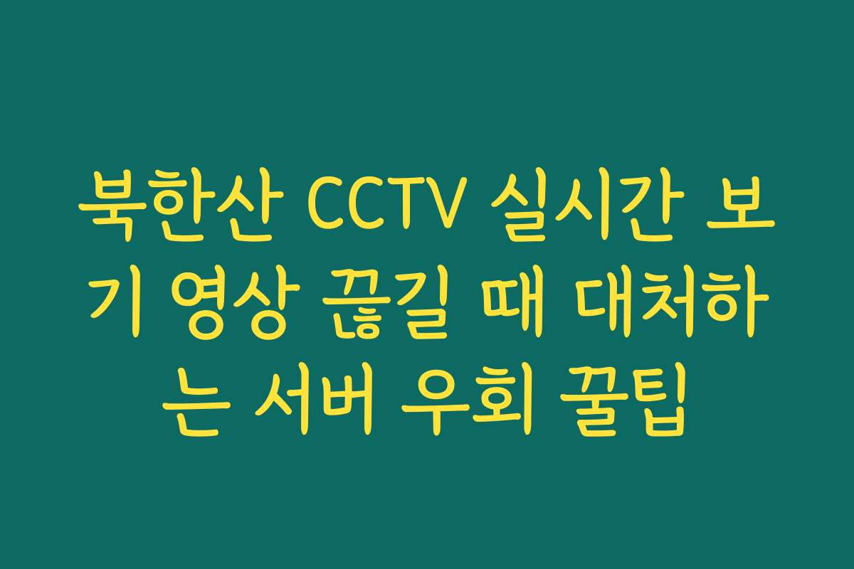 북한산 CCTV 실시간 보기 영상 끊길 때 대처하는 서버 우회 꿀팁