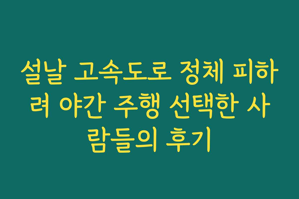 설날 고속도로 정체 피하려 야간 주행 선택한 사람들의 후기