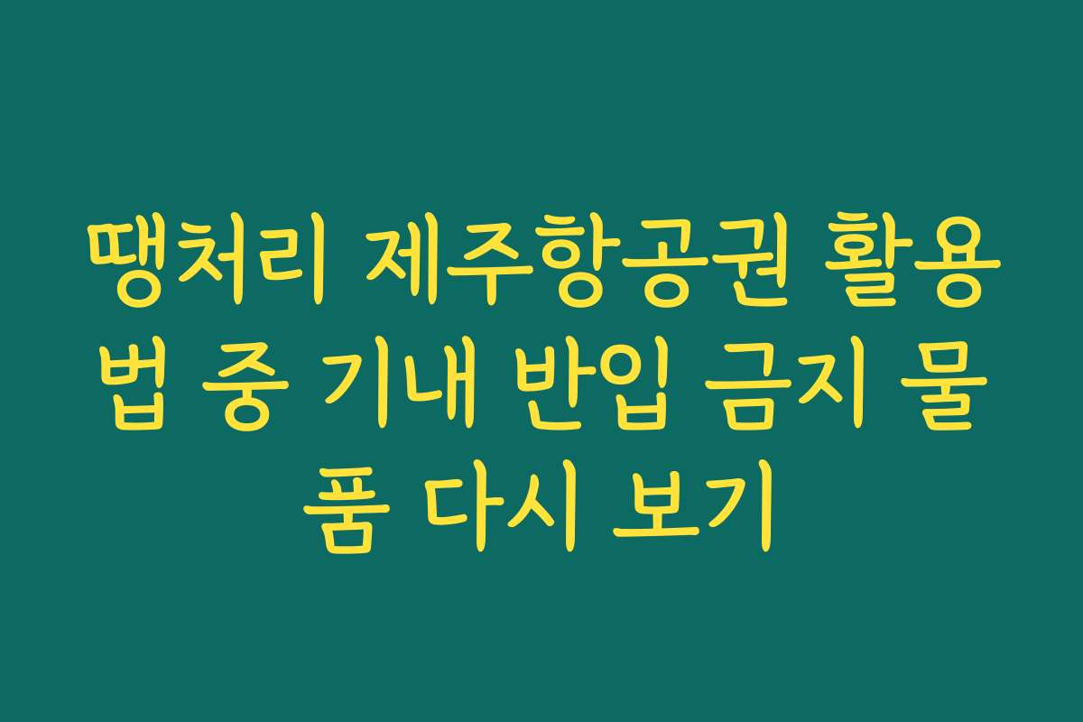 땡처리 제주항공권 활용법 중 기내 반입 금지 물품 다시 보기