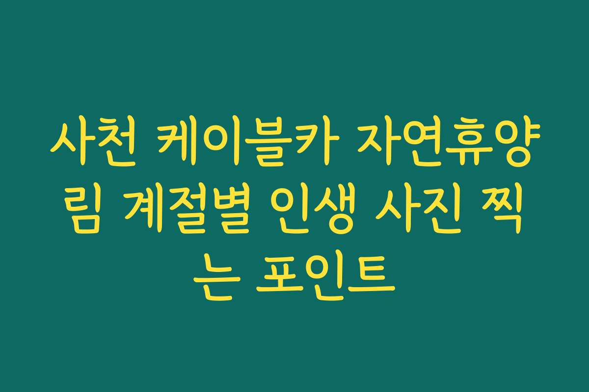 사천 케이블카 자연휴양림 계절별 인생 사진 찍는 포인트