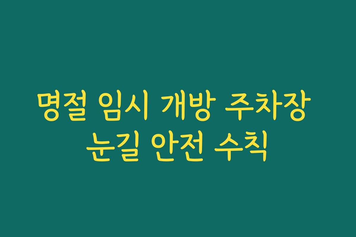 명절 임시 개방 주차장 눈길 안전 수칙
