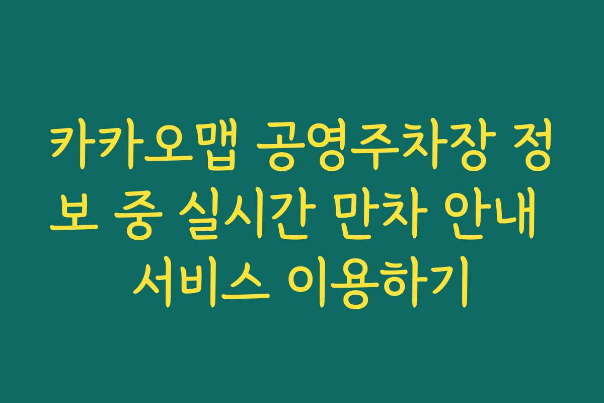 카카오맵 공영주차장 정보 중 실시간 만차 안내 서비스 이용하기