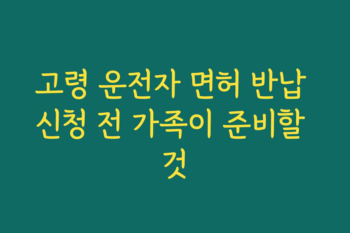 고령 운전자 면허 반납 신청 전 가족이 준비할 것