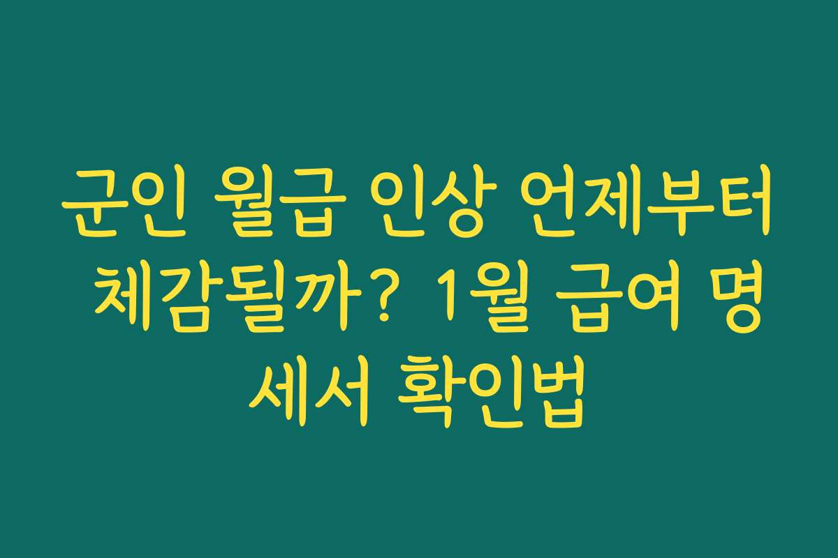 군인 월급 인상 언제부터 체감될까? 1월 급여 명세서 확인법