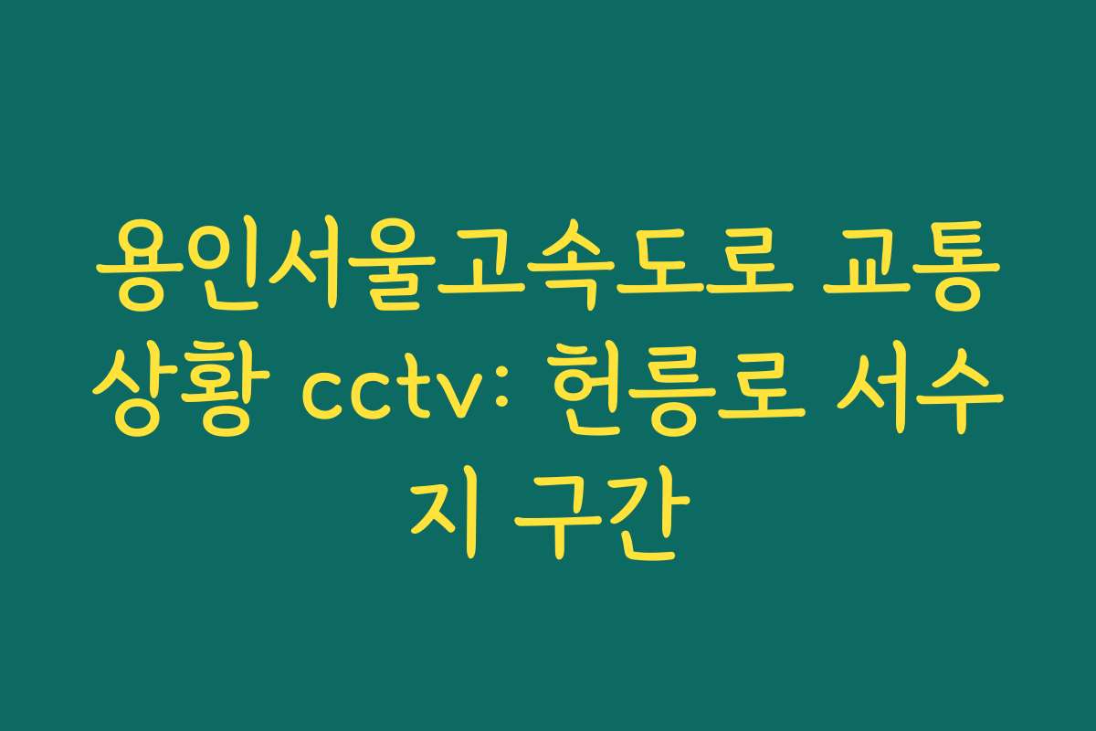 용인서울고속도로 교통상황 cctv: 헌릉로 서수지 구간