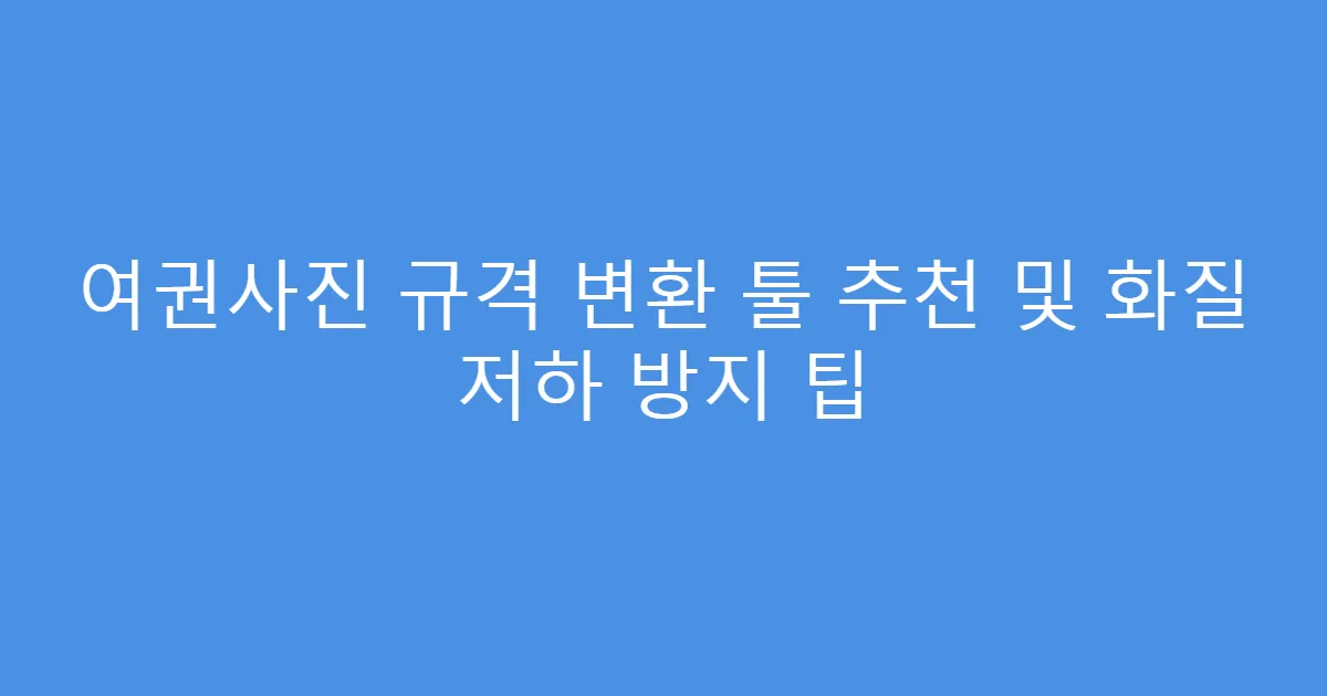 여권사진 규격 변환 툴 추천 및 화질 저하 방지 팁