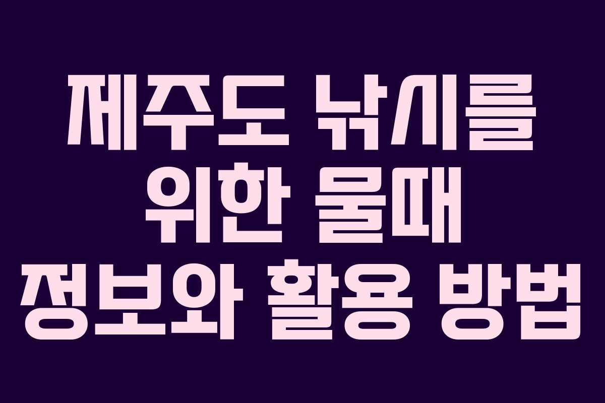 제주도 낚시를 위한 물때 정보와 활용 방법
