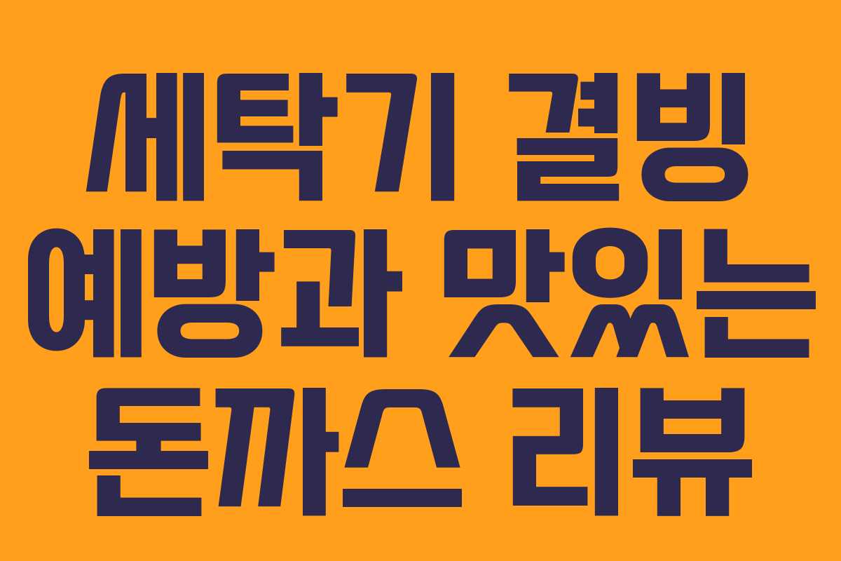 세탁기 결빙 예방과 맛있는 돈까스 리뷰