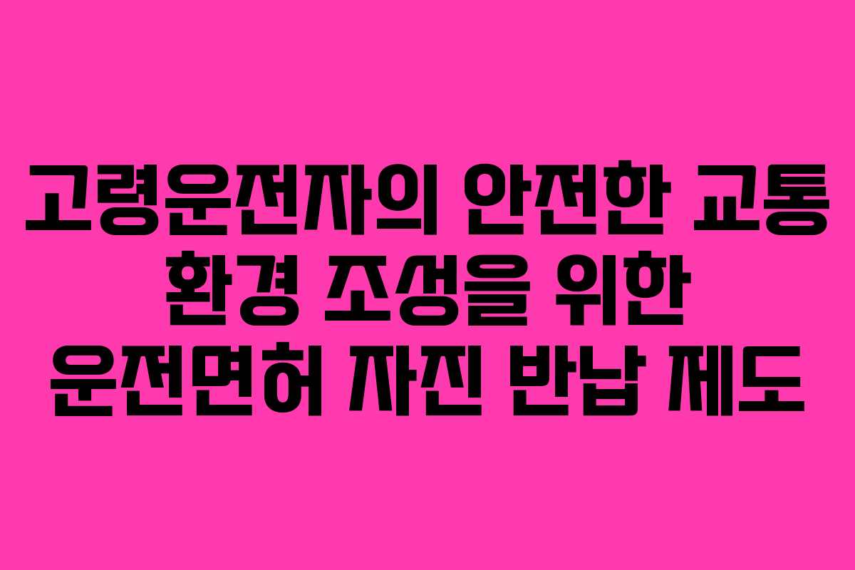 고령운전자의 안전한 교통 환경 조성을 위한 운전면허 자진 반납 제도