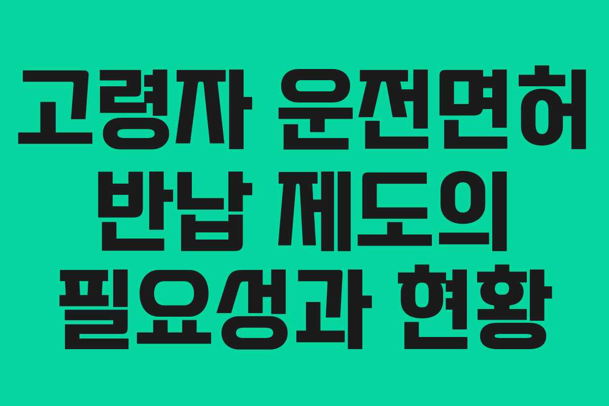 고령자 운전면허 반납 제도의 필요성과 현황