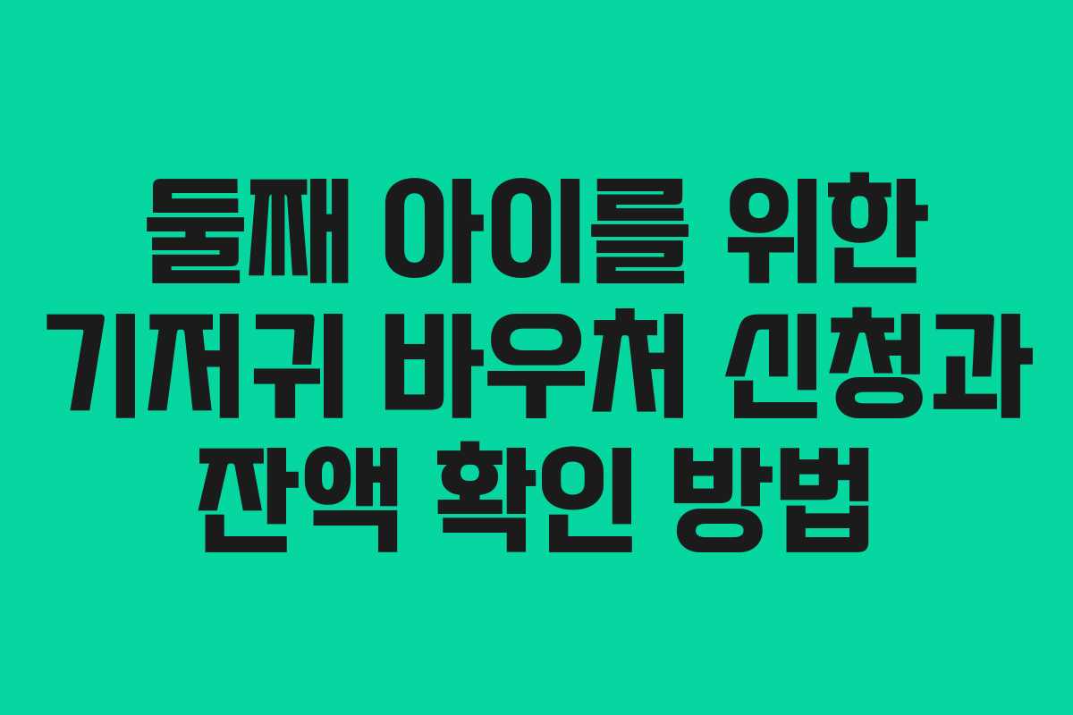 둘째 아이를 위한 기저귀 바우처 신청과 잔액 확인 방법