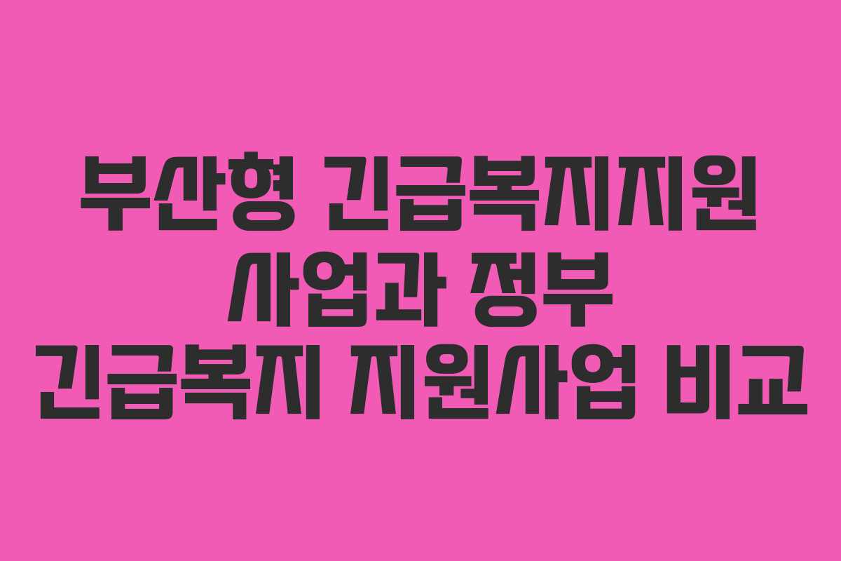부산형 긴급복지지원 사업과 정부 긴급복지 지원사업 비교