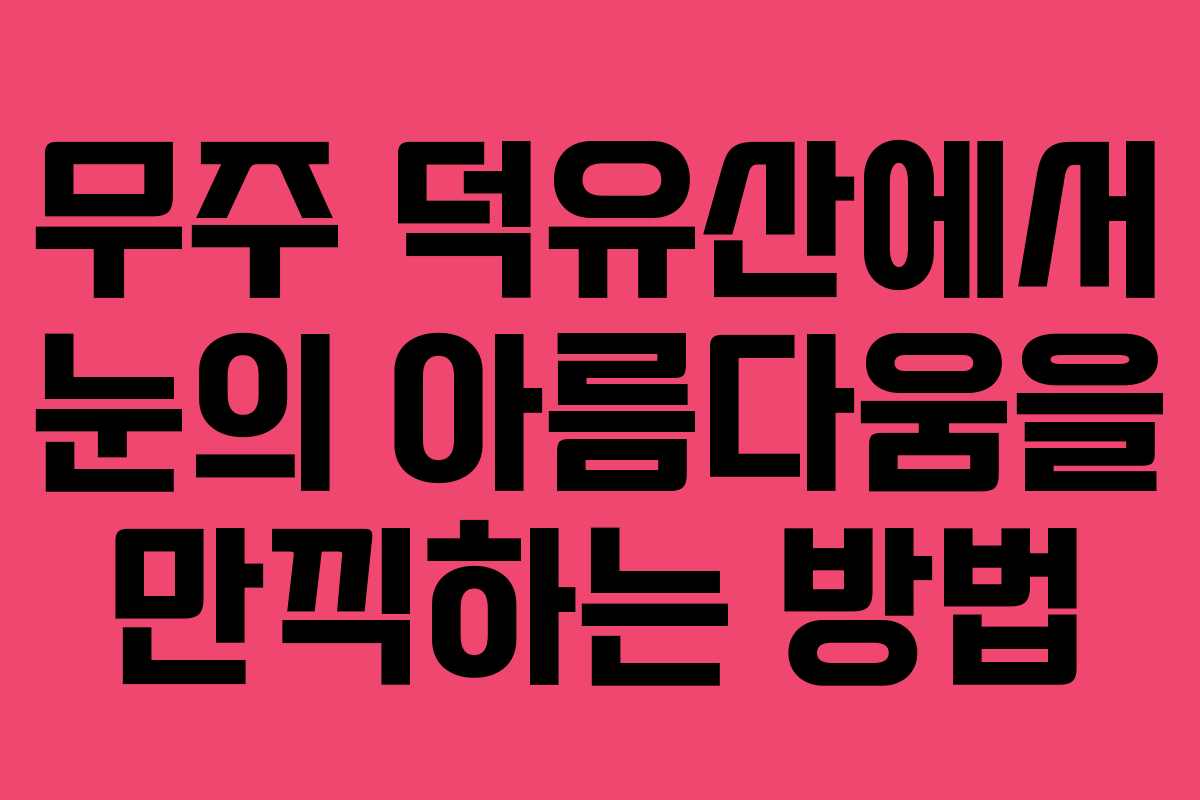 무주 덕유산에서 눈의 아름다움을 만끽하는 방법