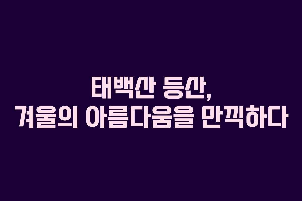 태백산 등산, 겨울의 아름다움을 만끽하다