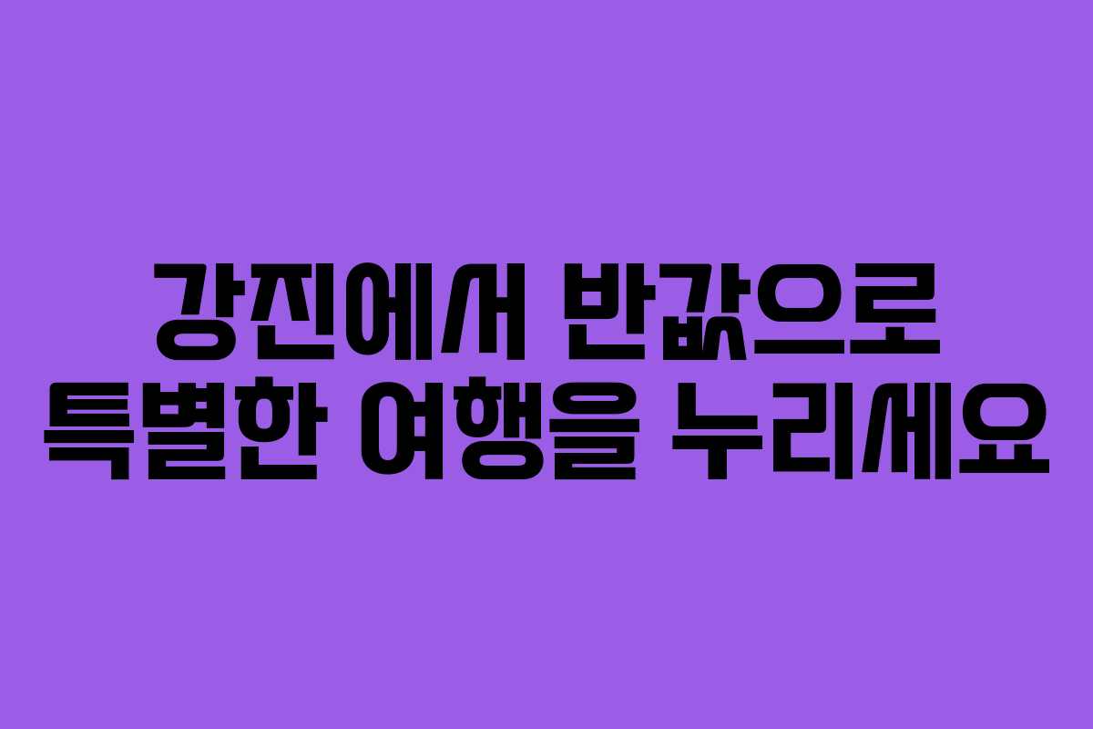 강진에서 반값으로 특별한 여행을 누리세요