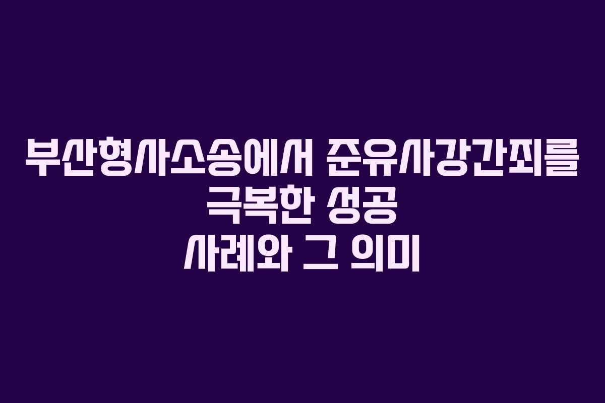 부산형사소송에서 준유사강간죄를 극복한 성공 사례와 그 의미