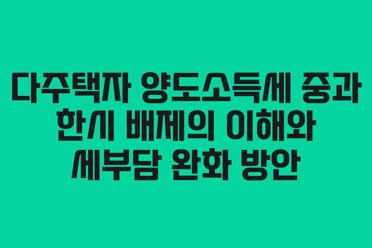 다주택자 양도소득세 중과 한시 배제의 이해와 세부담 완화 방안