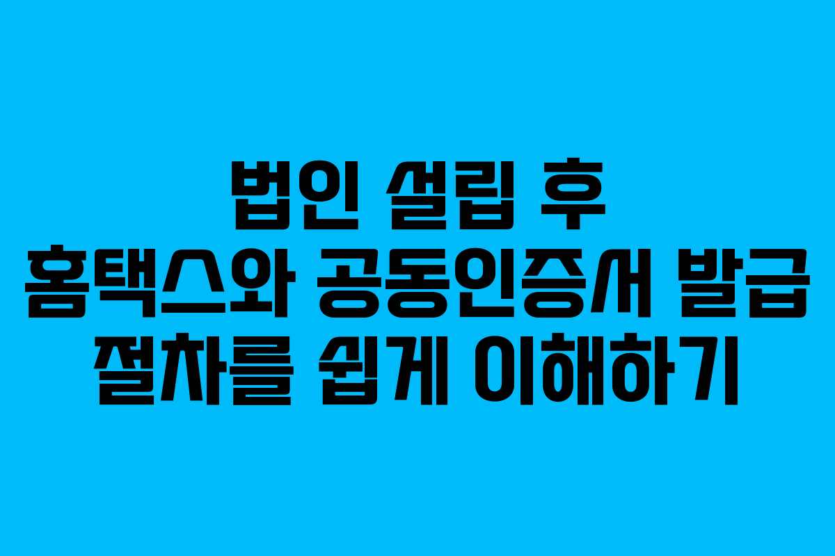 법인 설립 후 홈택스와 공동인증서 발급 절차를 쉽게 이해하기
