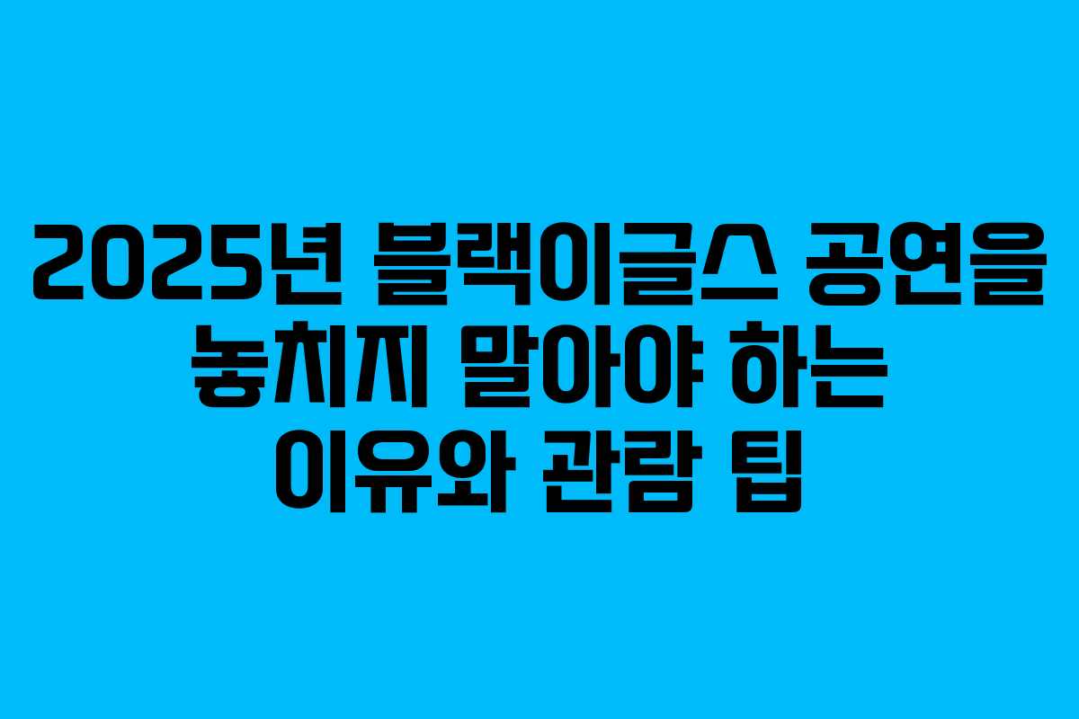 2025년 블랙이글스 공연을 놓치지 말아야 하는 이유와 관람 팁
