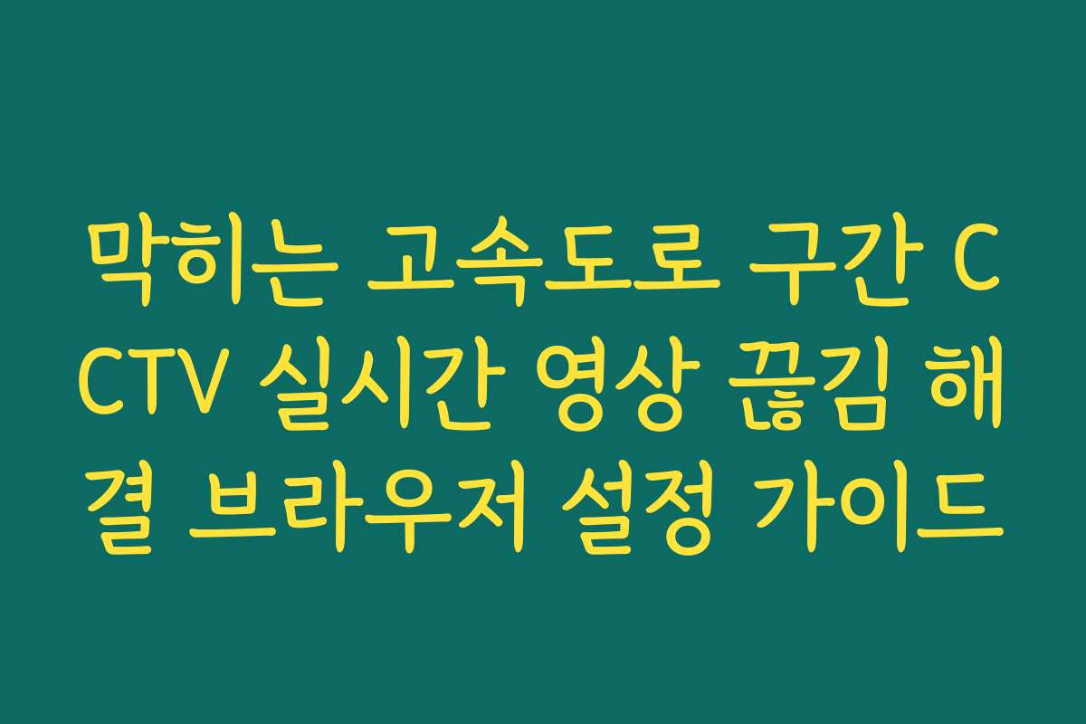 막히는 고속도로 구간 CCTV 실시간 영상 끊김 해결 브라우저 설정 가이드