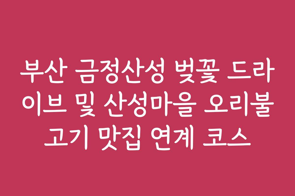 부산 금정산성 벚꽃 드라이브 및 산성마을 오리불고기 맛집 연계 코스