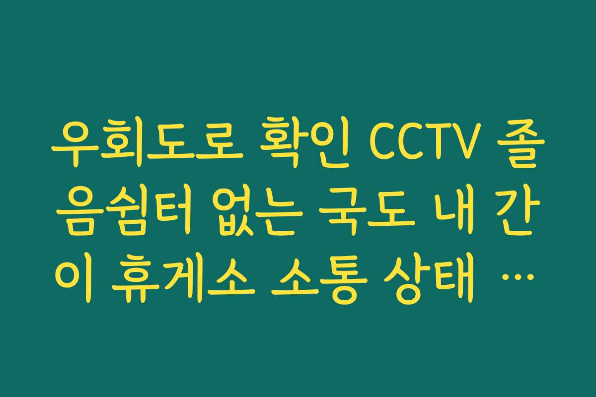 우회도로 확인 CCTV 졸음쉼터 없는 국도 내 간이 휴게소 소통 상태 보기