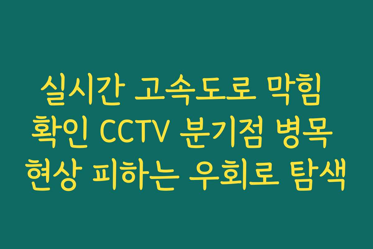 실시간 고속도로 막힘 확인 CCTV 분기점 병목 현상 피하는 우회로 탐색