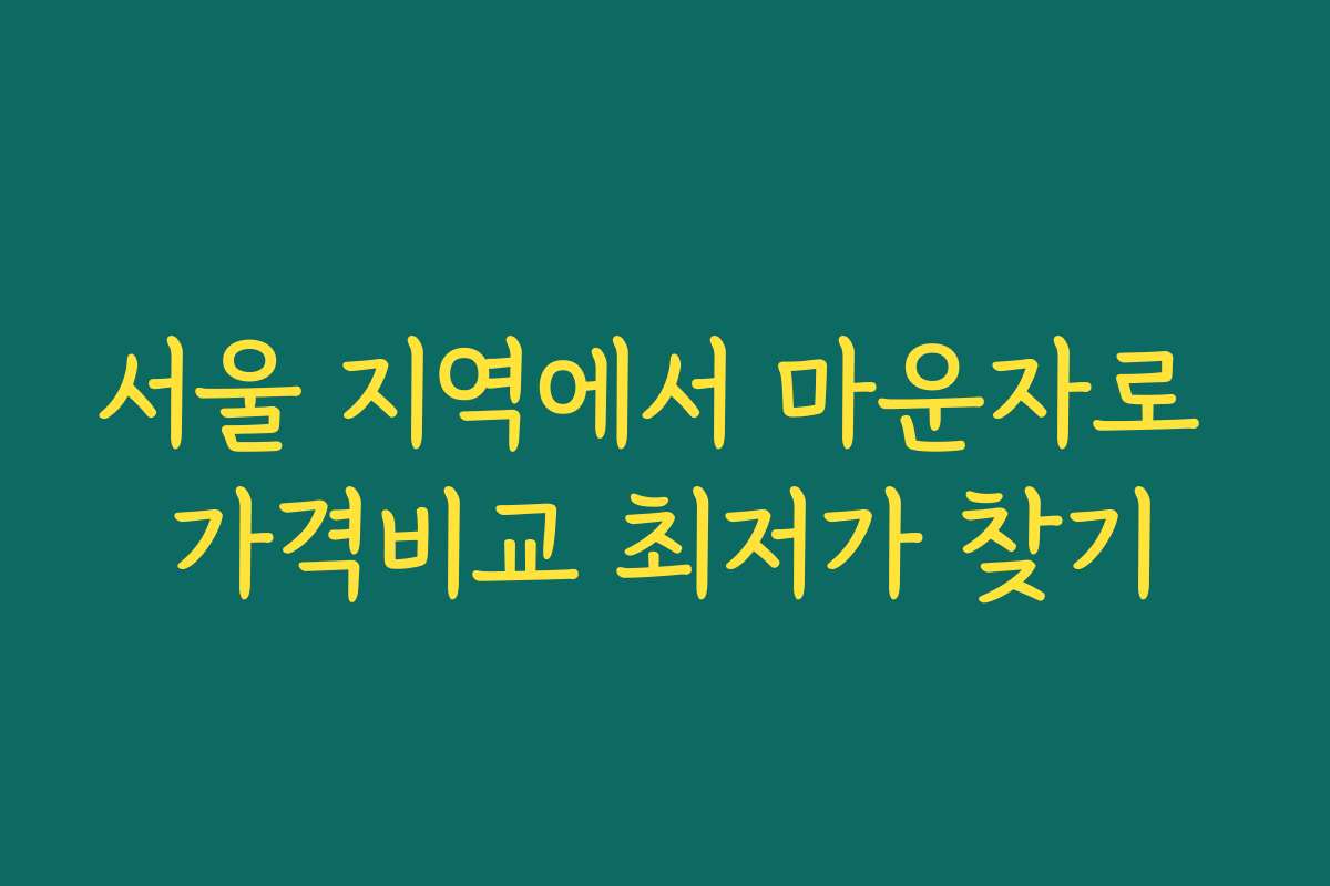 서울 지역에서 마운자로 가격비교 최저가 찾기