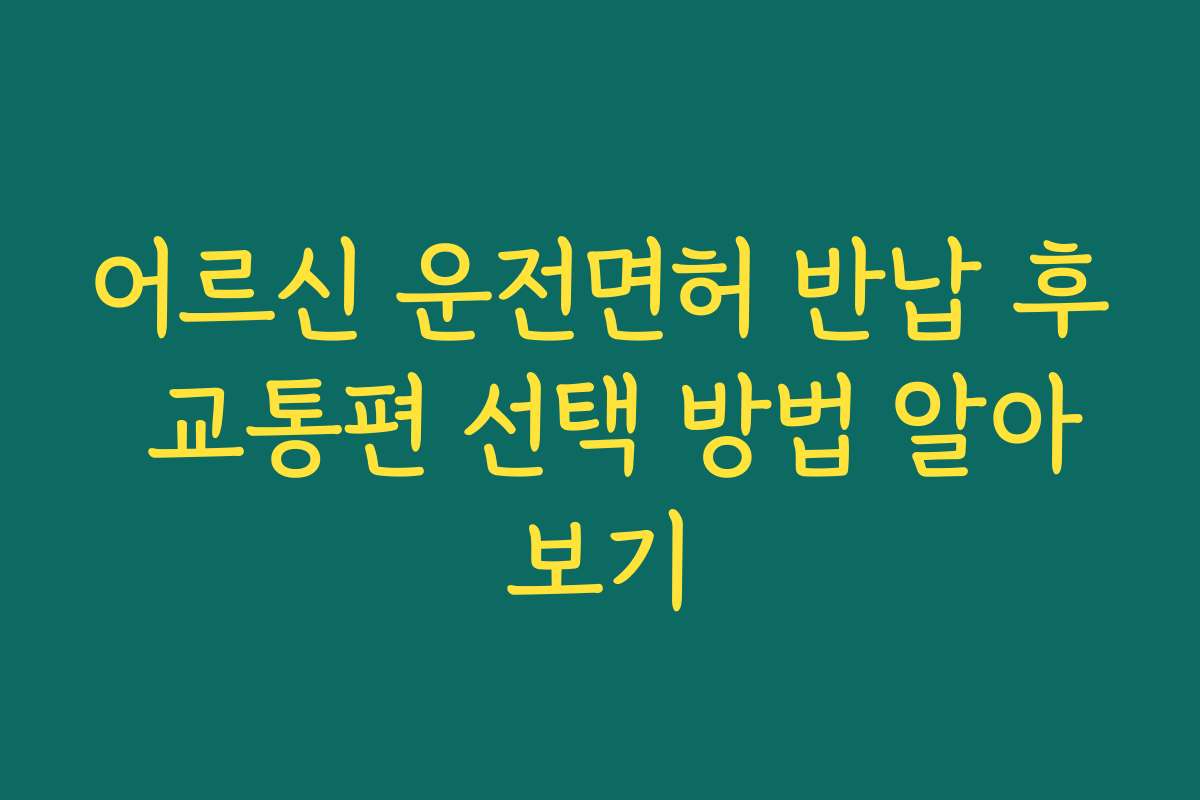 어르신 운전면허 반납 후 교통편 선택 방법 알아보기