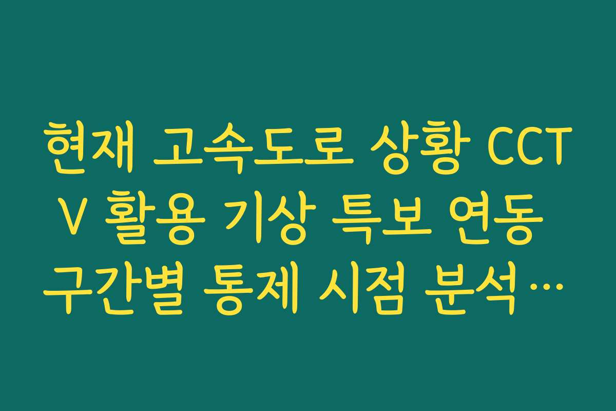 현재 고속도로 상황 CCTV 활용 기상 특보 연동 구간별 통제 시점 분석 가이드