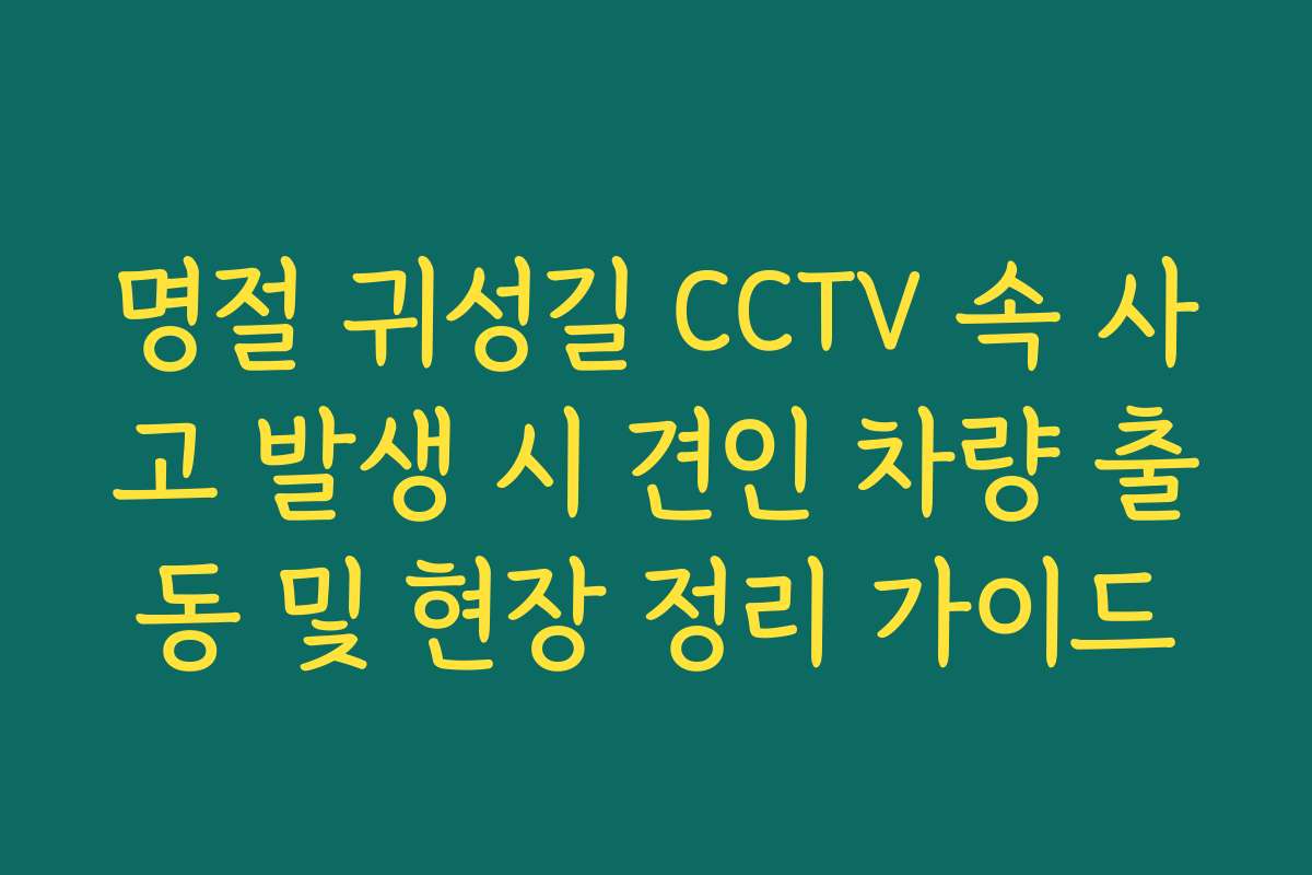 명절 귀성길 CCTV 속 사고 발생 시 견인 차량 출동 및 현장 정리 가이드