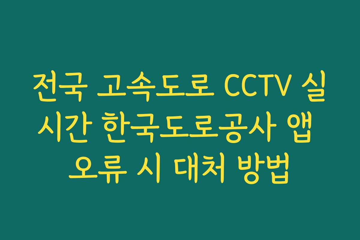 전국 고속도로 CCTV 실시간 한국도로공사 앱 오류 시 대처 방법