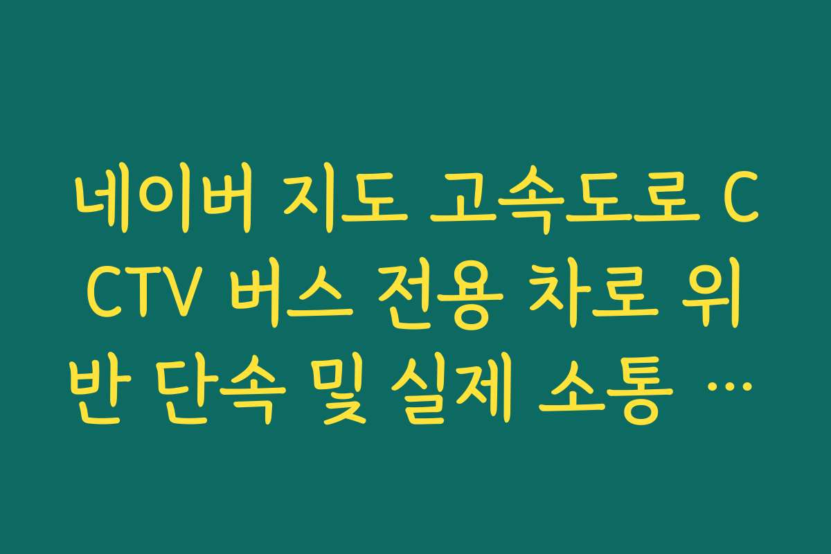 네이버 지도 고속도로 CCTV 버스 전용 차로 위반 단속 및 실제 소통 상태 보기