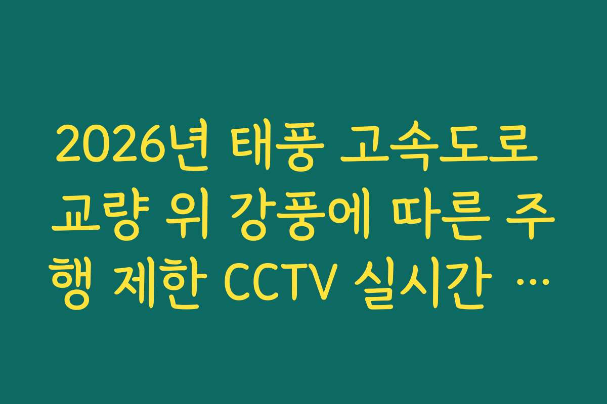 2026년 태풍 고속도로 교량 위 강풍에 따른 주행 제한 CCTV 실시간 가이드