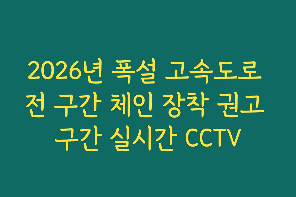 2026년 폭설 고속도로 전 구간 체인 장착 권고 구간 실시간 CCTV