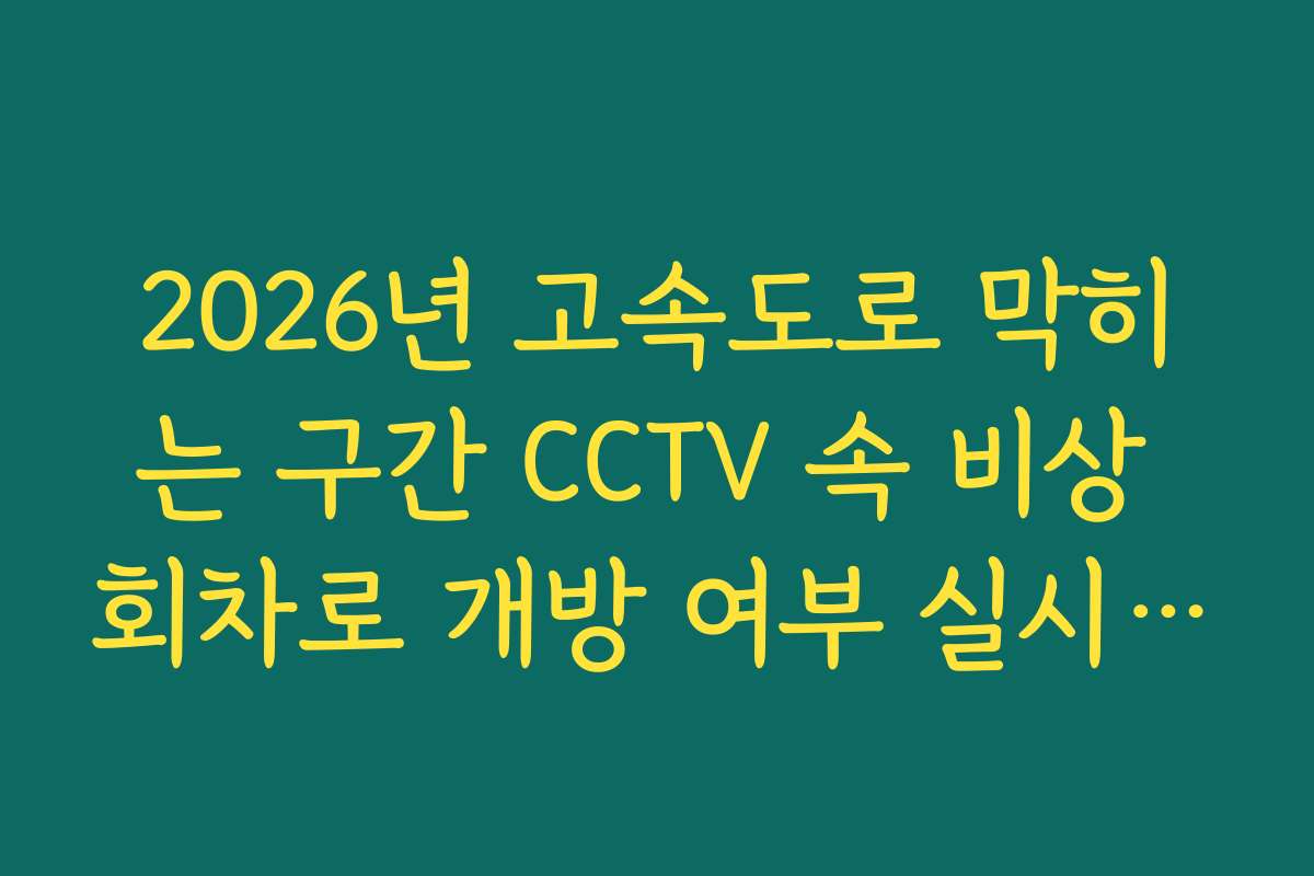 2026년 고속도로 막히는 구간 CCTV 속 비상 회차로 개방 여부 실시간 확인