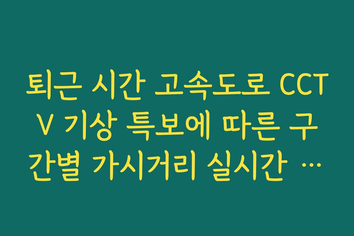 퇴근 시간 고속도로 CCTV 기상 특보에 따른 구간별 가시거리 실시간 육안 체크