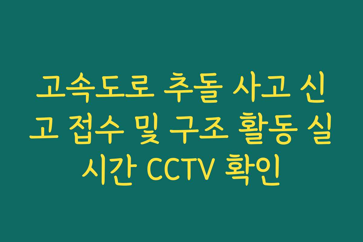 고속도로 추돌 사고 신고 접수 및 구조 활동 실시간 CCTV 확인