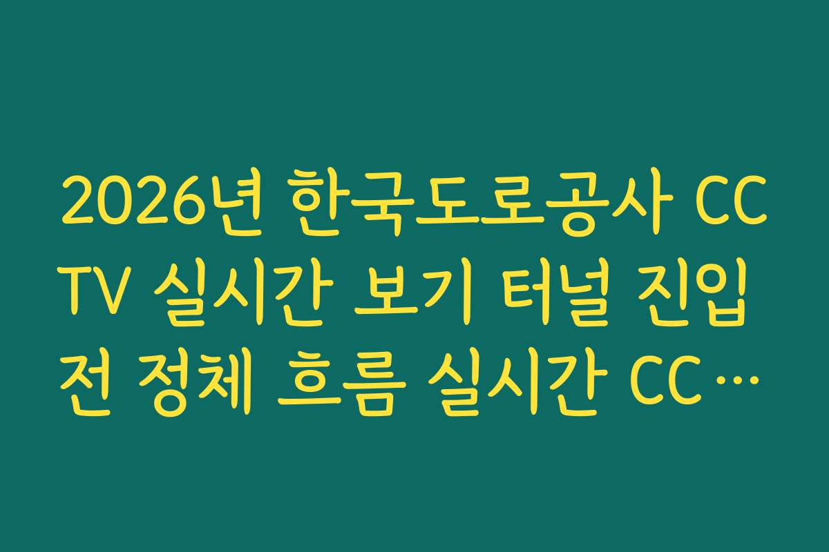 2026년 한국도로공사 CCTV 실시간 보기 터널 진입 전 정체 흐름 실시간 CCTV 확인